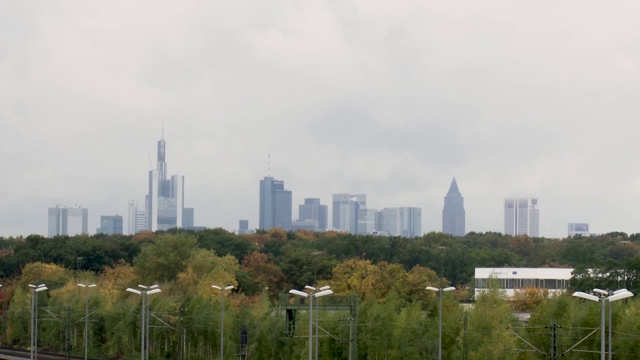 法兰克福城市的天际线和前景中的树木视频素材