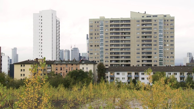 住宅楼和树苗场视频素材