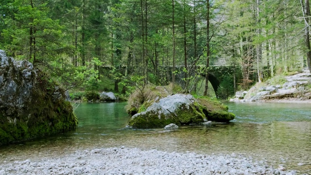 Kamniska Bistrica河的泉水视频素材