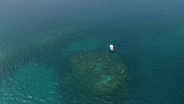 浮潜潜水员的鸟瞰图视频下载