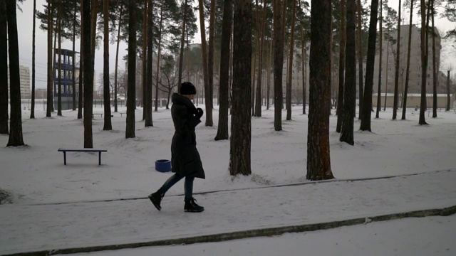 穿着黑色毛皮大衣的年轻快乐的女孩在公园的雪地上吹。寒假。快乐的女孩肖像在冬天的公园，她玩雪视频素材