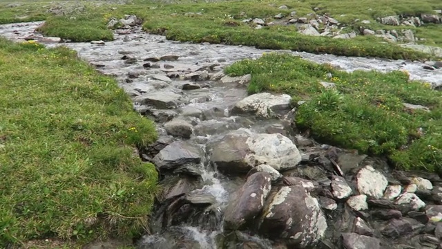 山河流过岩石。阿尔泰山脉景观视频素材