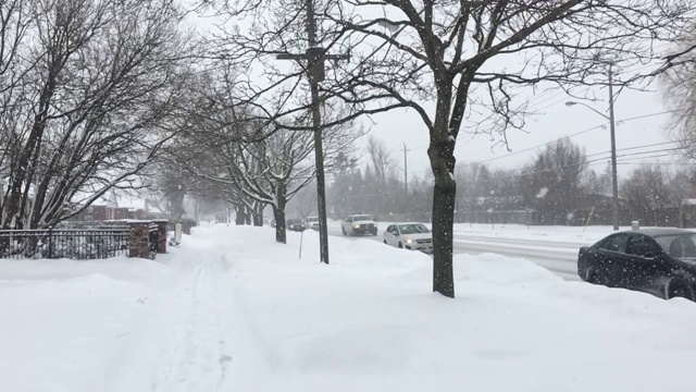 2019年1月，加拿大多伦多遭遇暴风雪视频素材