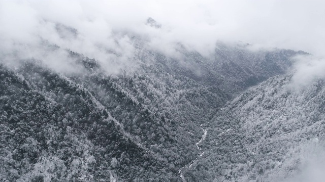 高空鸟瞰冬日冰雪覆盖的山谷，4k视频素材