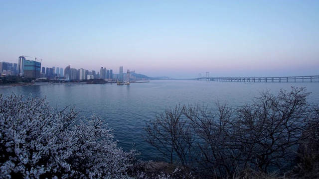 大连星海湾，日日夜夜时光流逝视频素材