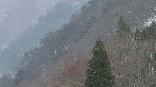 冬天下雪的日本风景视频素材