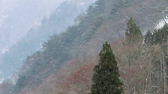 冬天下雪的日本风景视频素材