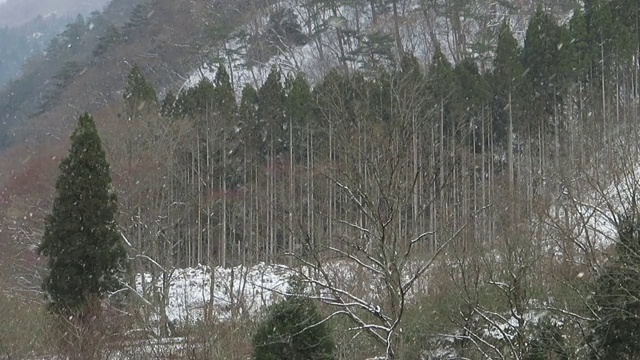 冬天下雪的日本风景视频素材