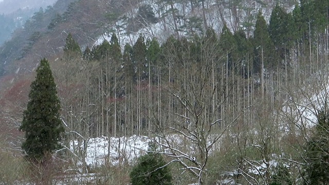 冬天下雪的日本风景视频素材