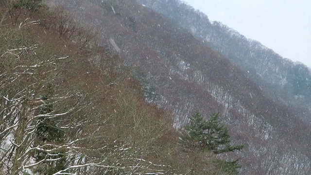 冬天下雪的日本风景视频素材