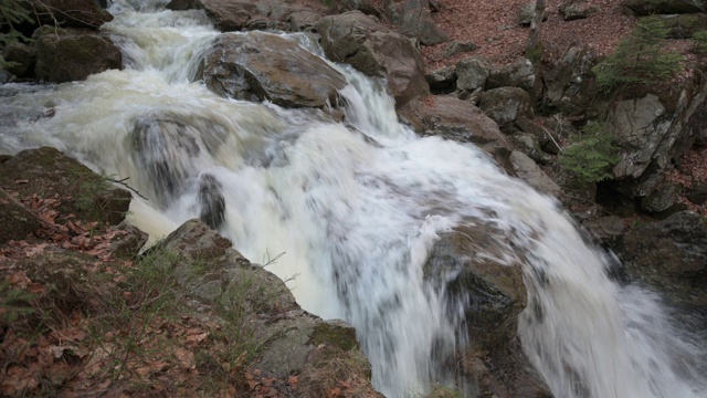 野溪视频素材