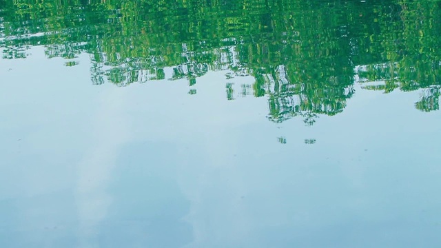 在开阔的河面或湖面上泛起涟漪，绿色的倒影和圆圈在水面上视频素材