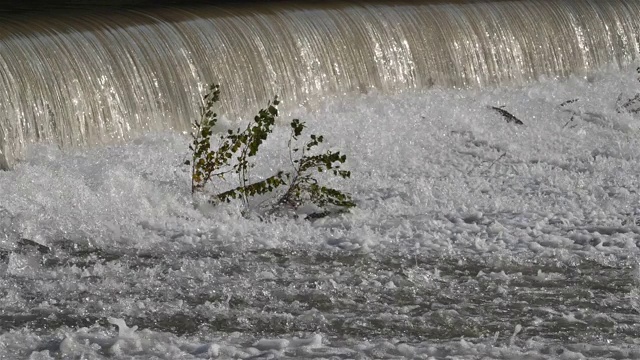 Wild river, Occitanie，法国南部视频素材