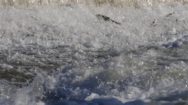 Wild river, Occitanie，法国南部视频素材