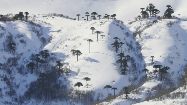 一个人单板滑雪下未追踪的穷山智利安第斯山脉巴塔哥尼亚静态视图视频素材