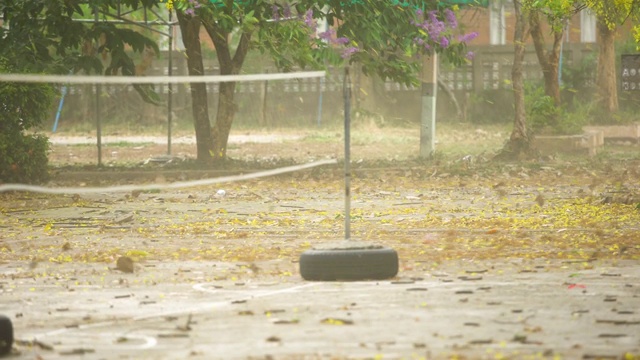 暴风雨前的大风视频下载