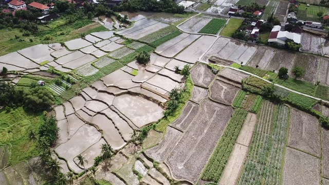 印度尼西亚巴厘岛乌布的Tegalalang梯田- 4K空中库存镜头视频素材