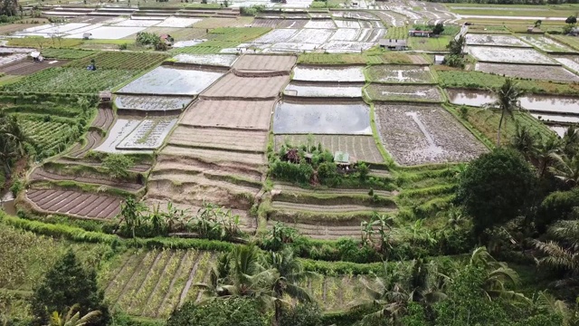 印度尼西亚巴厘岛乌布的Tegalalang梯田- 4K空中库存镜头视频素材