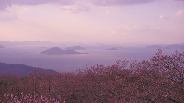 从志茂山眺望濑户内海视频下载