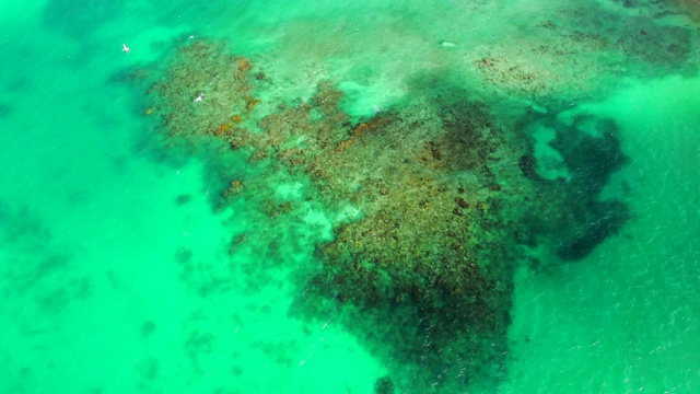 空中降落:充满活力的绿色海水与阳光反射-小玉米岛，尼加拉瓜视频素材