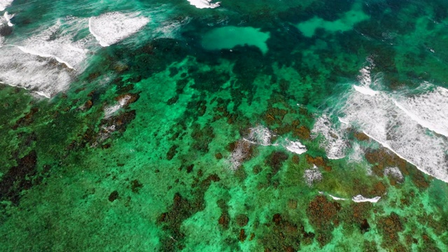 空中向前/向下:尼加拉瓜小玉米岛的岩石浅滩上亮绿色的海水视频素材