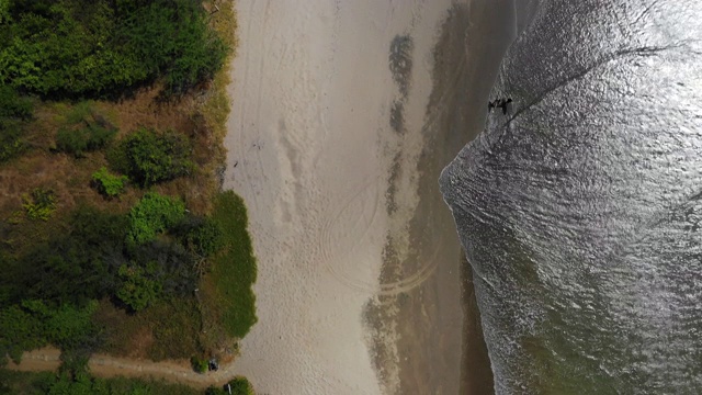 空中向前:一对夫妇在浅海海浪中漫步，经过长满草的沙滩，尼加拉瓜埃尔·吉甘特视频素材