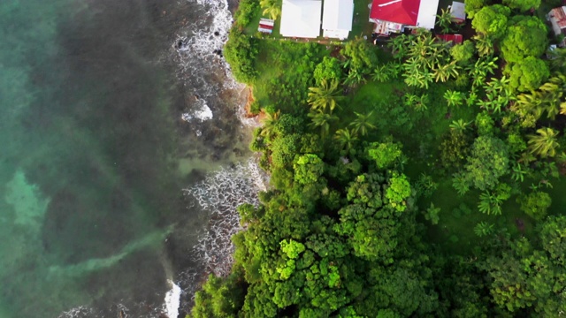 空中向前:在尼加拉瓜的小玉米岛的蓝色海洋岸边，房子周围有明亮的绿树视频素材