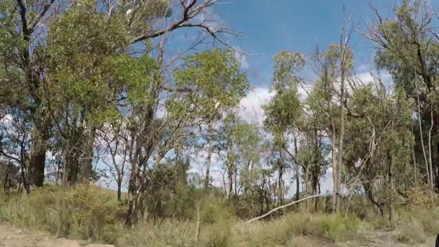 驾驶在树木成行的乡村道路，通过田野，农田在农村景观，澳大利亚视频素材