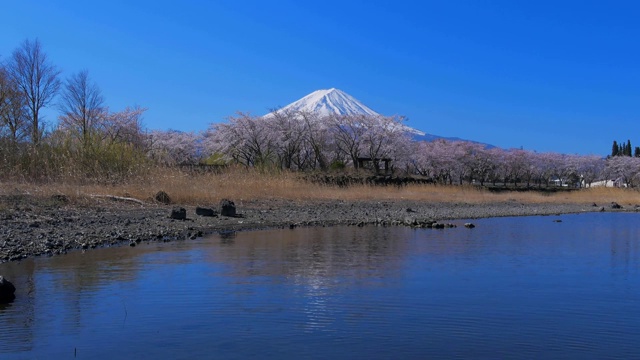 富士山视频下载