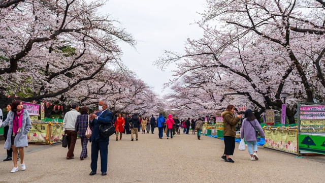 上野公园樱花节的时间间隔。上野公园是日本东京最好的地方之一视频素材