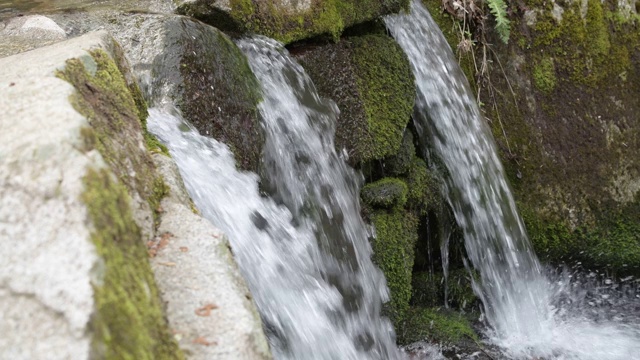 在4k潮湿的森林里，山洪倾泻在岩石上视频下载