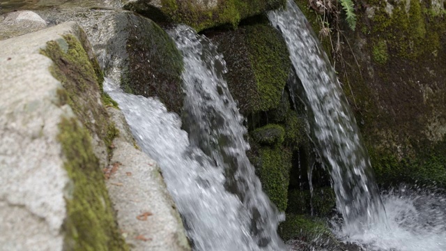 在4k潮湿的森林里，山洪倾泻在岩石上视频下载