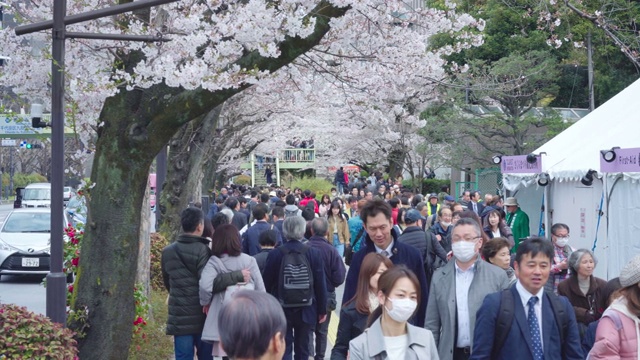 东京上野公园的樱花节视频素材