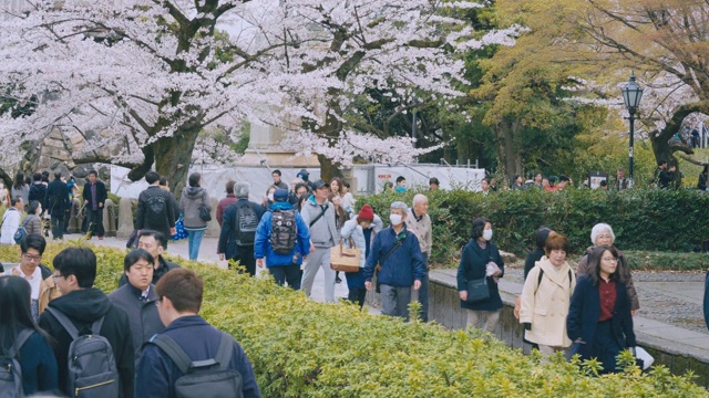 东京上野公园的樱花节视频素材