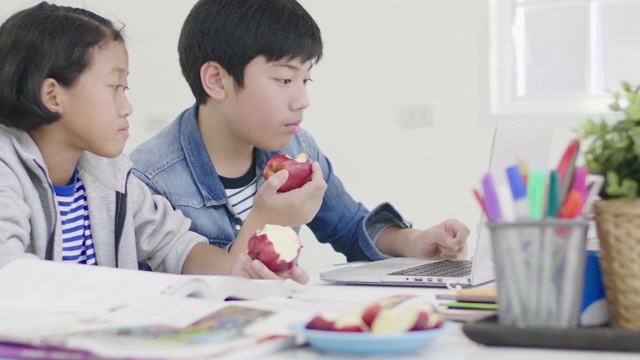 年轻的男孩们正在用电脑教和解释家庭作业。两个孩子都在吃苹果。还要做作业视频素材