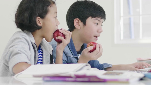 年轻的男孩们正在用电脑教和解释家庭作业。两个孩子都在吃苹果。还要做作业视频素材