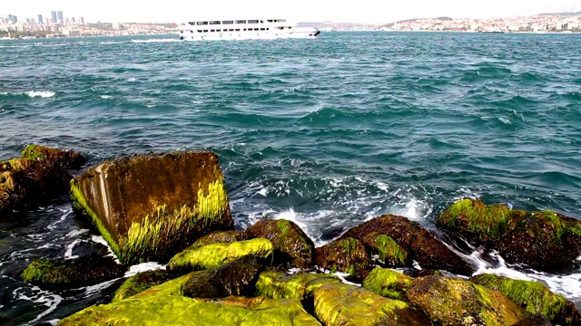 苔藓岩石和海浪背景船和城市景观视频素材