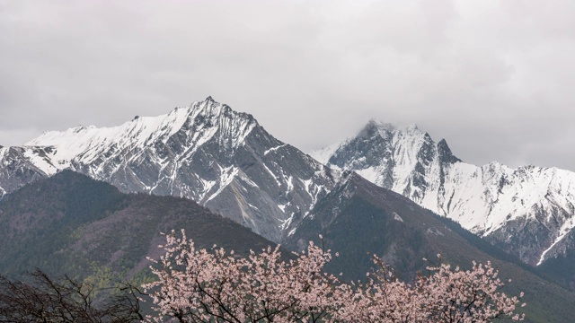 西藏林芝的自然风光视频素材