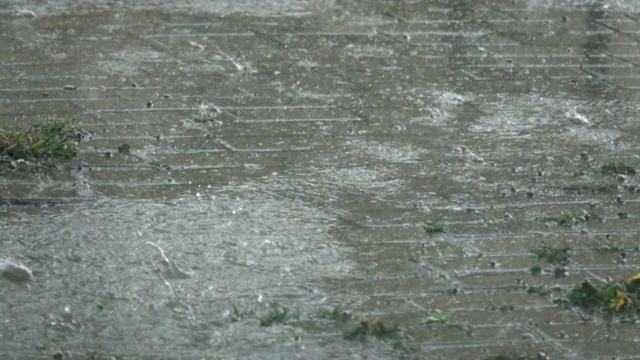 城市里的雨。水滴。暴雨期间大雨滴落在水坑里。特写镜头。大雨落下背景。缓慢的运动。视频素材