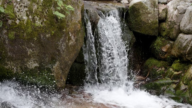 在4k潮湿的森林里，山洪倾泻在岩石上视频素材