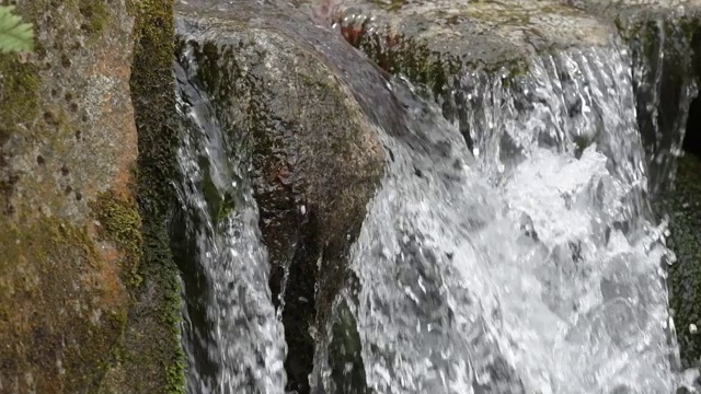 在慢镜头潮湿的森林里，山洪倾泻在岩石上视频下载