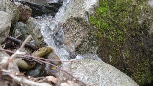 在4k潮湿的森林里，山洪倾泻在岩石上视频素材