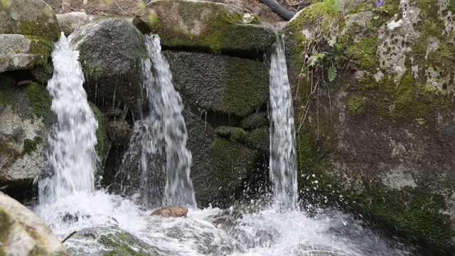 在4k潮湿的森林里，山洪倾泻在岩石上视频素材