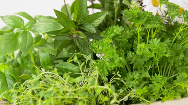 绿色香草，香料和鲜花视频素材