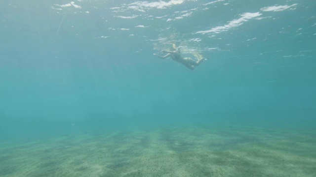 水下风景年轻女子游泳和潜水在蓝色的海水。年轻女子戴着护目镜在透明的海水中游泳。视频素材