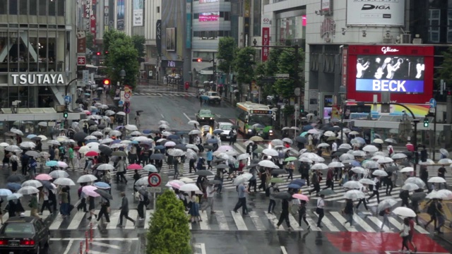 涉谷穿越在雨天视频素材