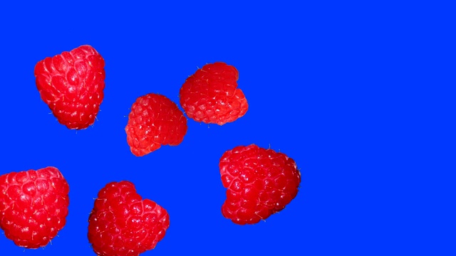 树莓定格动画，蓝色可编辑屏幕视频素材