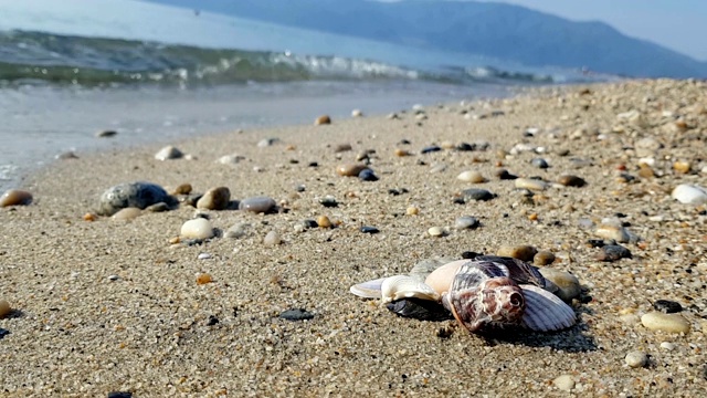 美丽的海岸视频素材