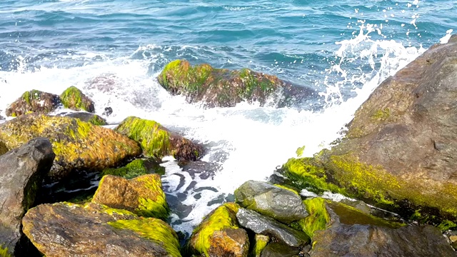 8张不同的照片，海浪拍打着覆盖着苔藓的岩石在海边的海滩上。视频素材