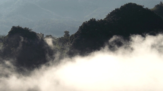 高原自然景观的泰国冬日绿树山视频素材